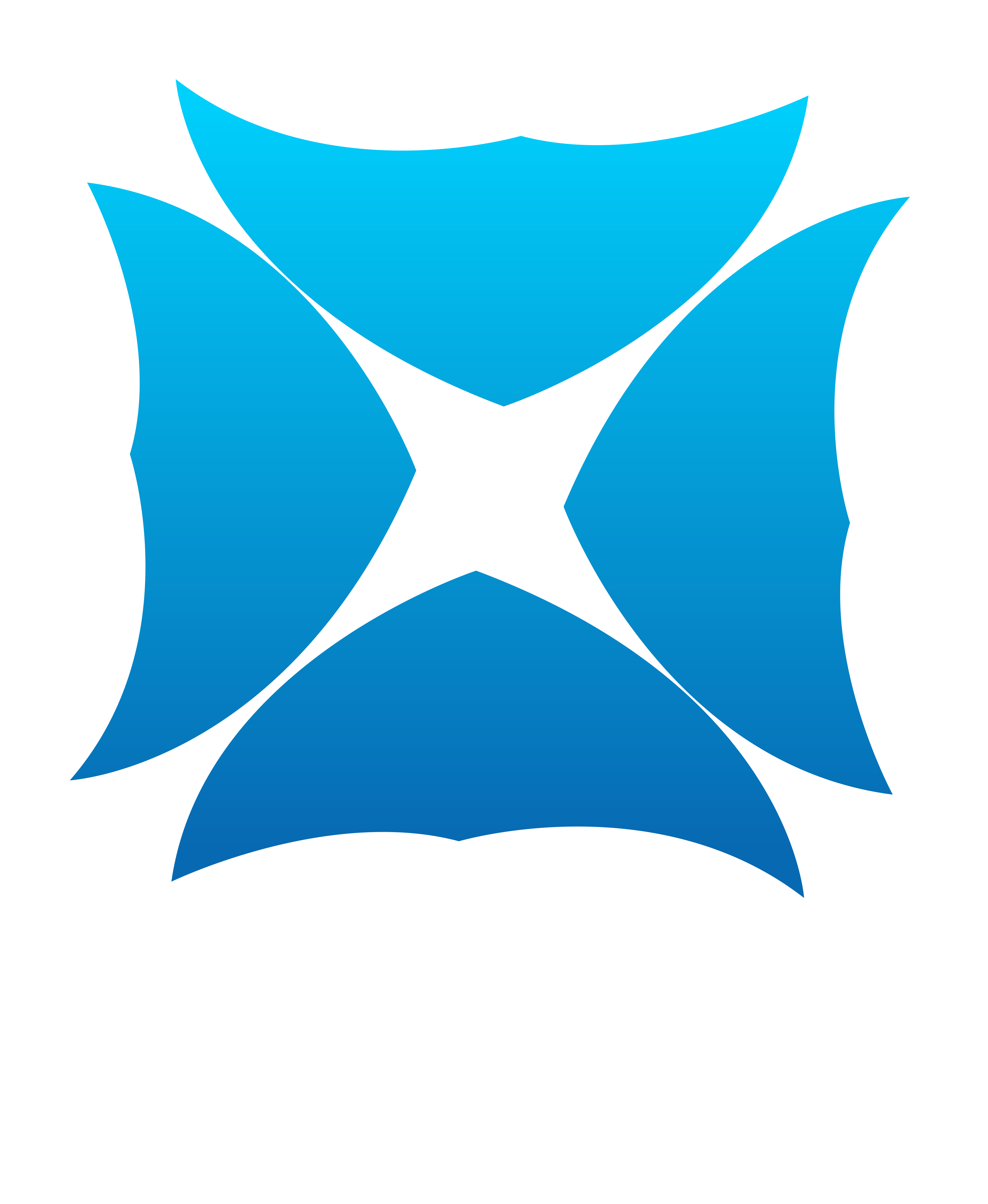 Noppla